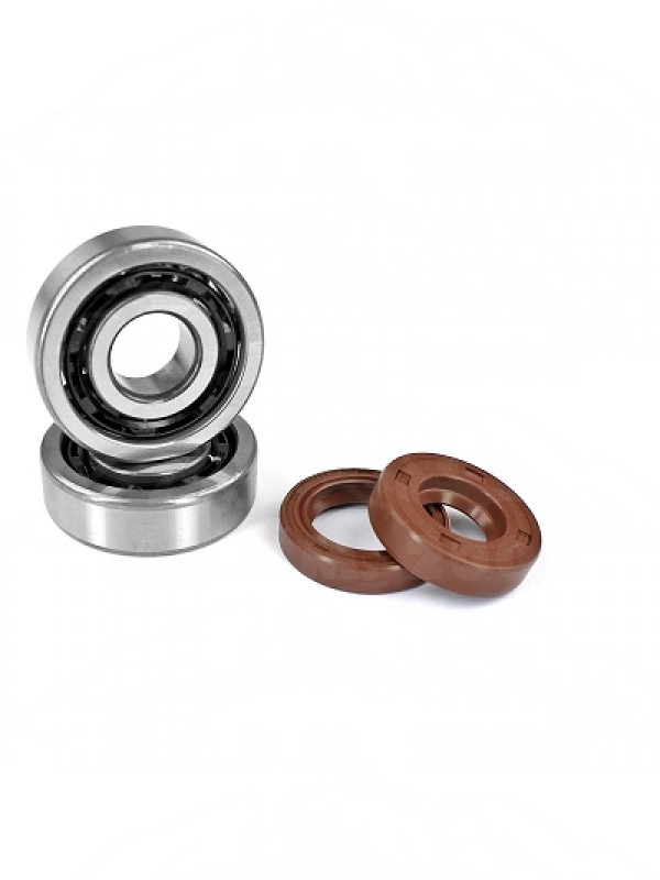 KIT CUSCINETTI NTN (6303 T2XC4 ) GABBIA POLYAMIDE + SERIE PARAOLI VITON MOTORE AM6 100014
