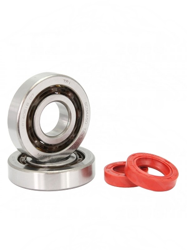 KIT CUSCINETTI TPI ( SCO4A47CS29 ) +SERIE PARAOLI MOTORE PIAGGIO ZIP / TYPHOON / NRG / GILERA STALKE