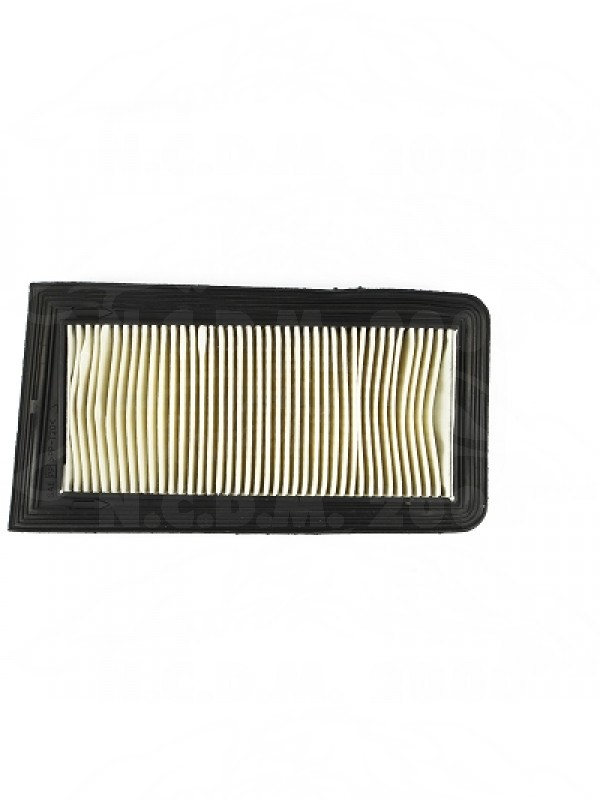 FILTRO ARIA SUZUKI BURGMAN 650CC 2002-18 (OEM : 13780-10G00 ) HFA3619 114021C