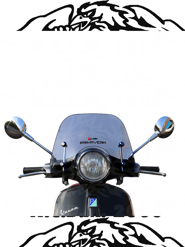 CUPOLINO VESPA PRIMAVERA '14 ODT FUME'ATT.CROM 28375