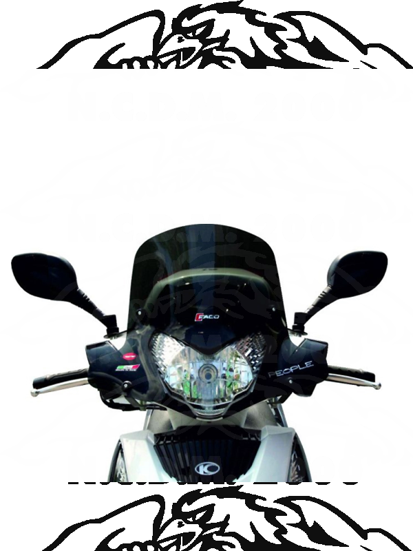 CUPOLINO FUME'KYMCO PEOPLE.GTi300'10 28565