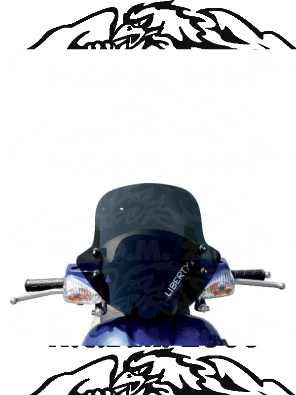 CUPOLINO PIAGGIO LIBERTY MODELLO  S FUME' 06-12 28570 