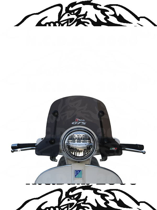 Cupolino Fumè aste cromate "New Line" PIAGGIO Vespa GT200 29000  