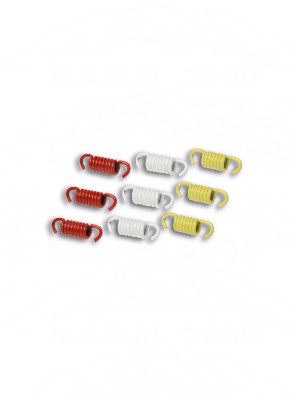 SERIE MOLLE RACING PER FRIZIONI MAXI SCOOTER  2911326