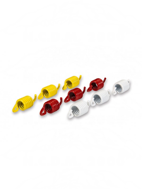  Serie molle frizione RACING per maxi scooter 2911848 