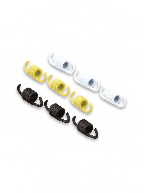  Serie molle frizione (solo per veicoli con variatore) 29 7307 