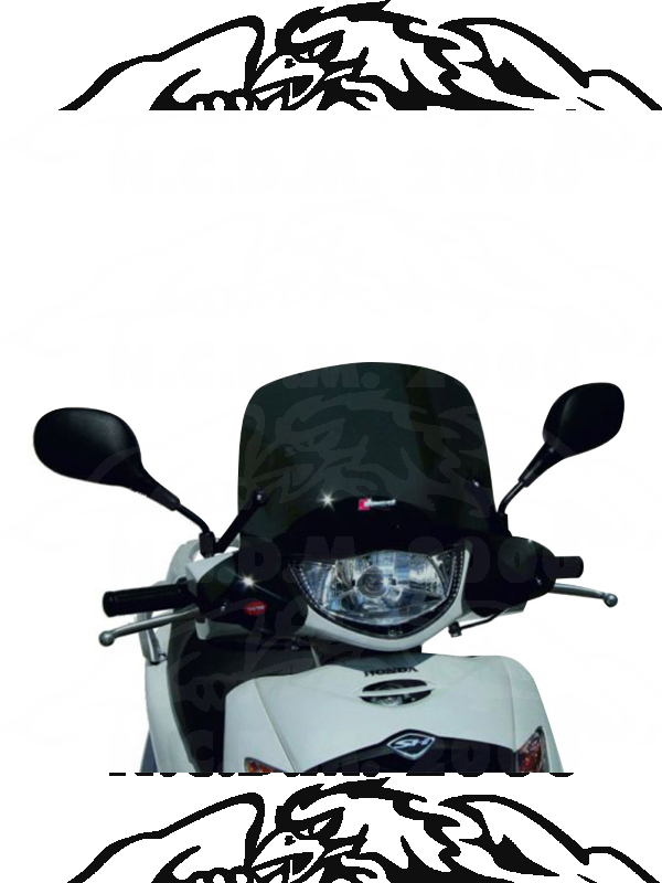 Cupolino Fumè HONDA SH125 05-08 28500 