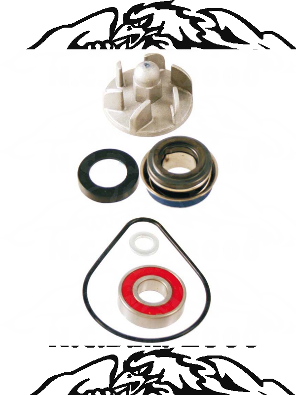 Kit revisione pompa acqua Honda Pantheon 2t 125-150cc 1998/2002 100110180
