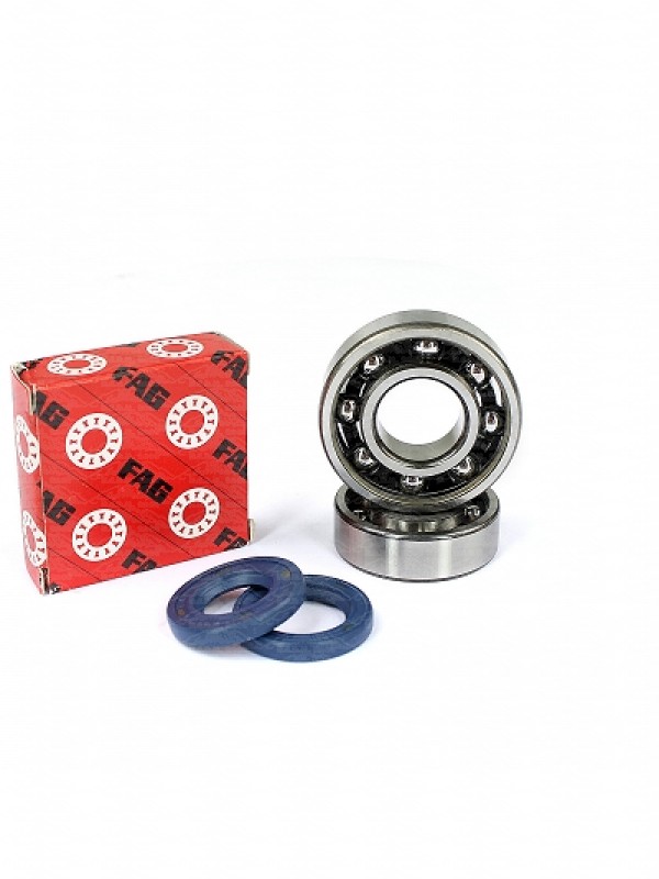 KIT CUSCINETTI ( 6203 TVH C3 FAG + 6204 TVH C3 FAG ) + PARAOLIO BANCO103 100000