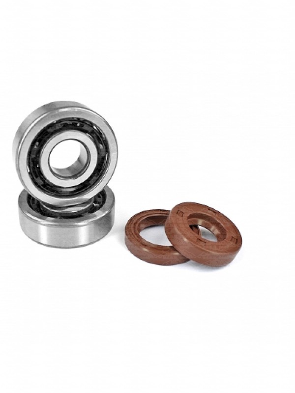 KIT CUSCINETTI NTN (6303 T2XC4 ) GABBIA POLYAMIDE + SERIE PARAOLI VITON MOTORE AM6 100014