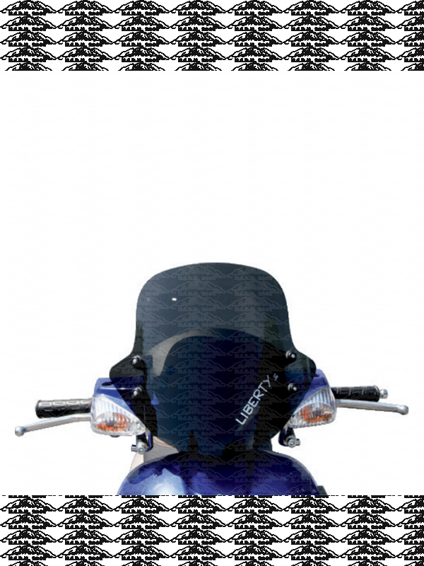 CUPOLINO PIAGGIO LIBERTY MODELLO  S FUME' 06-12 28570 