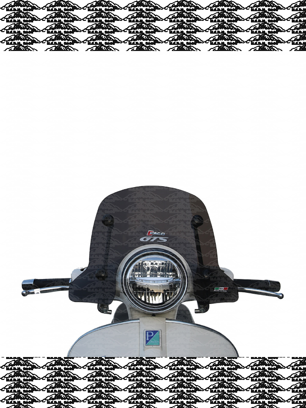 Cupolino Fumè aste cromate "New Line" PIAGGIO Vespa GT200 29000  