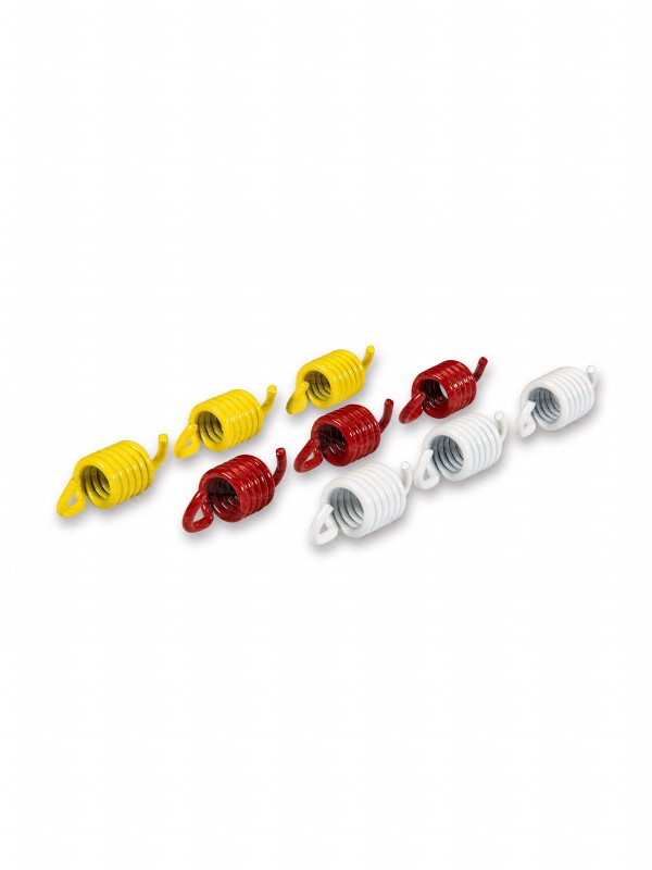  Serie molle frizione RACING per maxi scooter 2911848 
