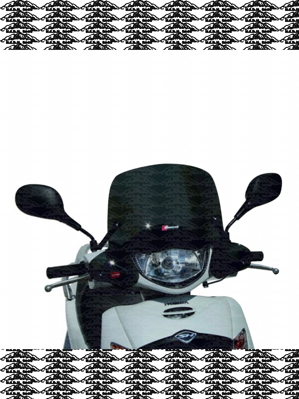 Cupolino Fumè HONDA SH125 05-08 28500 