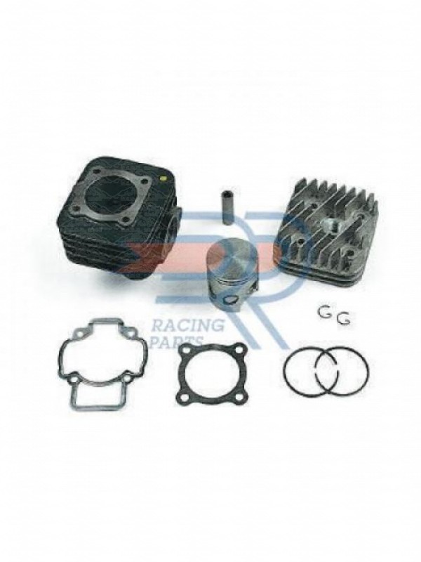 GRUPPO TERMICO DIAMETRO 48 PIAGGIO SCOOTER  SFERA-ZIP EVOLUTION