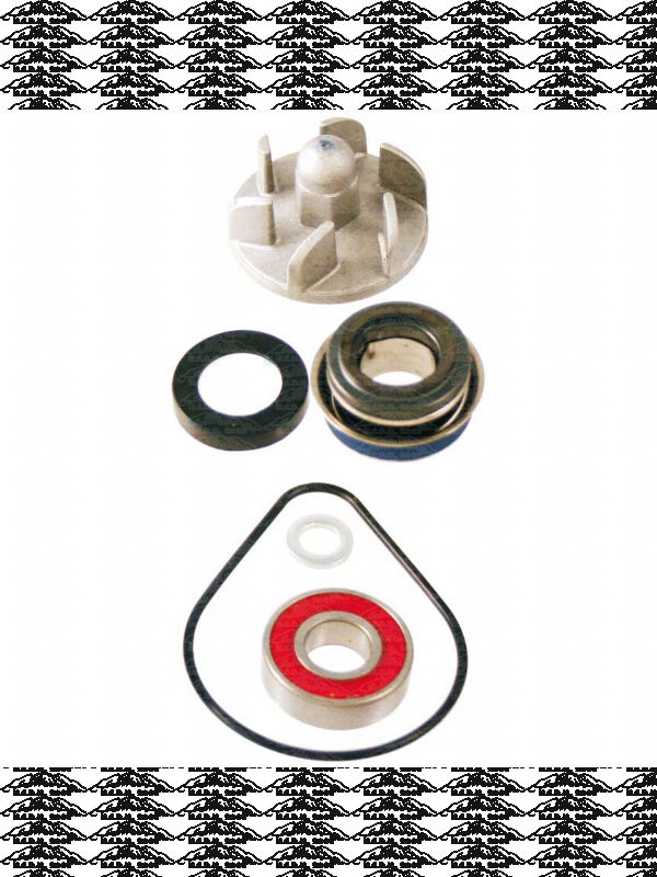 Kit revisione pompa acqua Honda Pantheon 2t 125-150cc 1998/2002 100110180